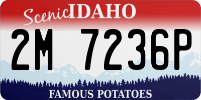 ID license plate 2M7236P