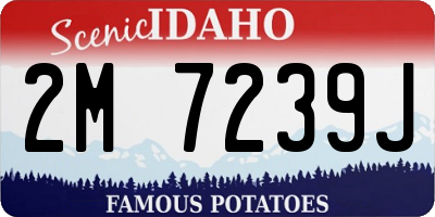 ID license plate 2M7239J