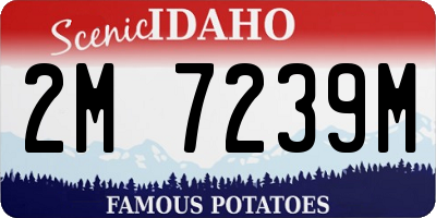 ID license plate 2M7239M