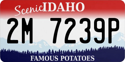 ID license plate 2M7239P
