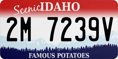 ID license plate 2M7239V