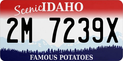 ID license plate 2M7239X