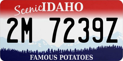 ID license plate 2M7239Z