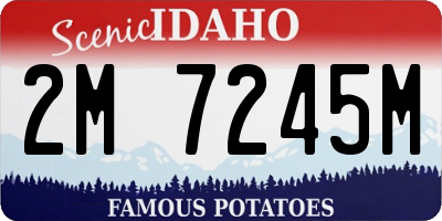 ID license plate 2M7245M