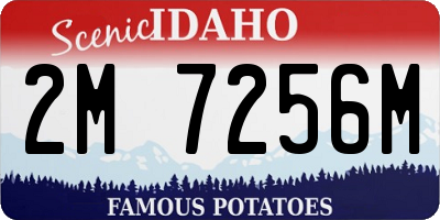 ID license plate 2M7256M