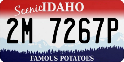ID license plate 2M7267P
