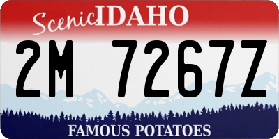 ID license plate 2M7267Z