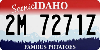 ID license plate 2M7271Z
