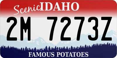 ID license plate 2M7273Z