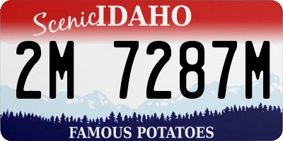 ID license plate 2M7287M