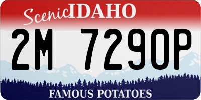 ID license plate 2M7290P