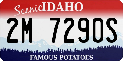 ID license plate 2M7290S