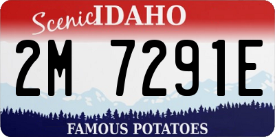 ID license plate 2M7291E