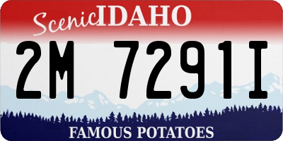 ID license plate 2M7291I