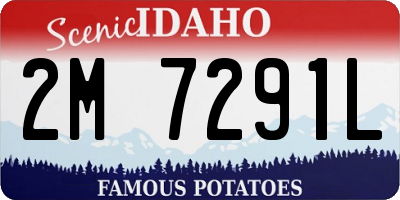 ID license plate 2M7291L