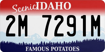 ID license plate 2M7291M