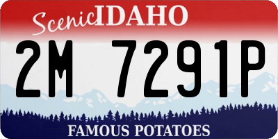 ID license plate 2M7291P