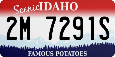 ID license plate 2M7291S