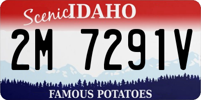 ID license plate 2M7291V
