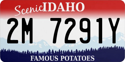 ID license plate 2M7291Y