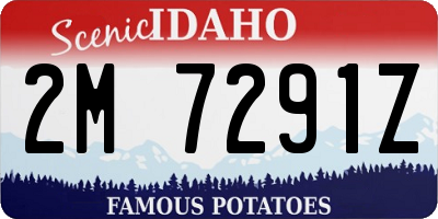 ID license plate 2M7291Z