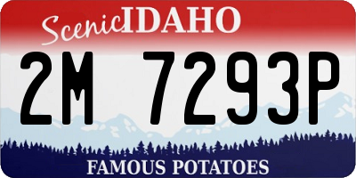 ID license plate 2M7293P