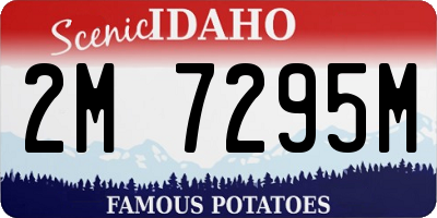 ID license plate 2M7295M