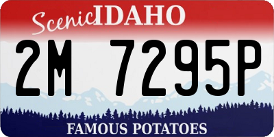 ID license plate 2M7295P