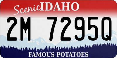 ID license plate 2M7295Q