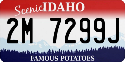 ID license plate 2M7299J