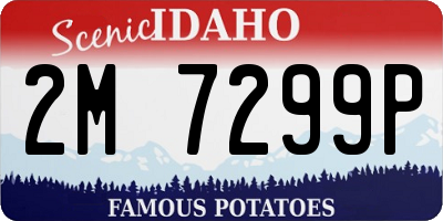 ID license plate 2M7299P