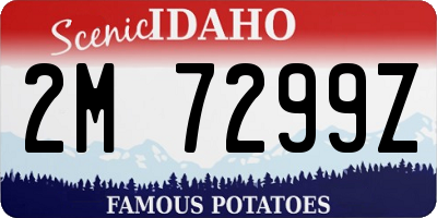 ID license plate 2M7299Z