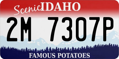ID license plate 2M7307P