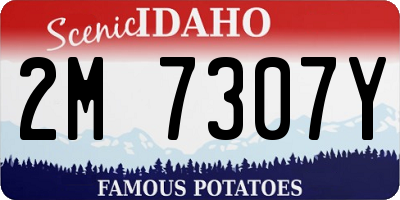 ID license plate 2M7307Y