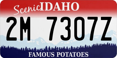 ID license plate 2M7307Z