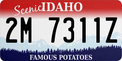 ID license plate 2M7311Z