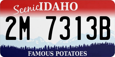 ID license plate 2M7313B