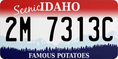 ID license plate 2M7313C