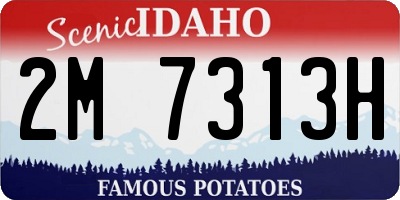 ID license plate 2M7313H