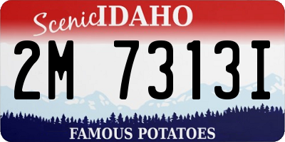 ID license plate 2M7313I