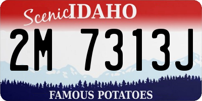 ID license plate 2M7313J