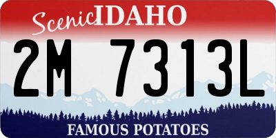ID license plate 2M7313L