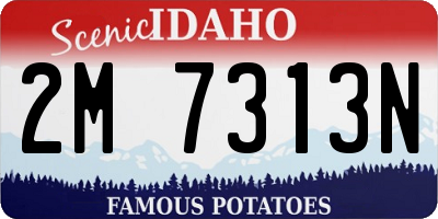 ID license plate 2M7313N