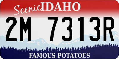 ID license plate 2M7313R
