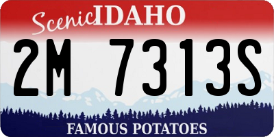 ID license plate 2M7313S