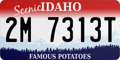 ID license plate 2M7313T