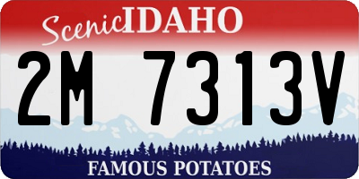 ID license plate 2M7313V