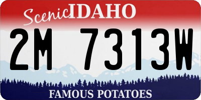 ID license plate 2M7313W