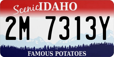 ID license plate 2M7313Y