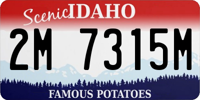ID license plate 2M7315M